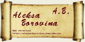 Aleksa Borovina vizit kartica